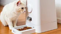 white cat in front of an automated cat feeder